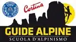 logo_guide_alpine-1