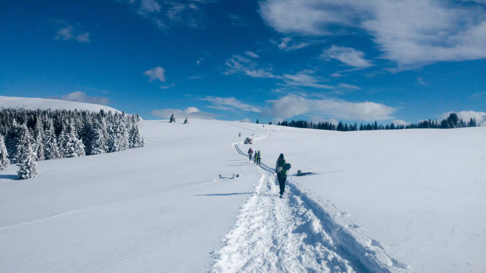 Besuchen Sie die Dolomiten